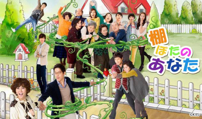 棚ぼたのあなた